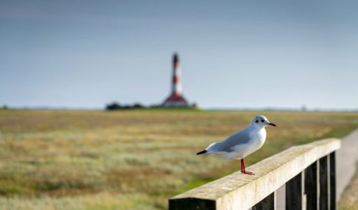 philipp-EMx5RdX7l9k-unsplash_480